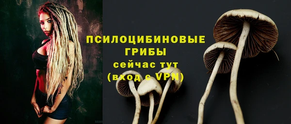 крисы Куровское