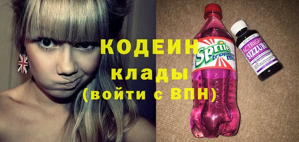 хмурый Каменка