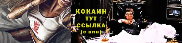 хмурый Каменка