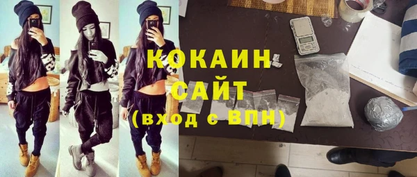хмурый Каменка