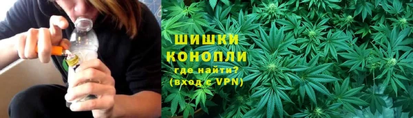 хмурый Каменка
