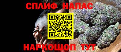 прущие грибы Кандалакша