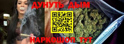 прущие грибы Кандалакша