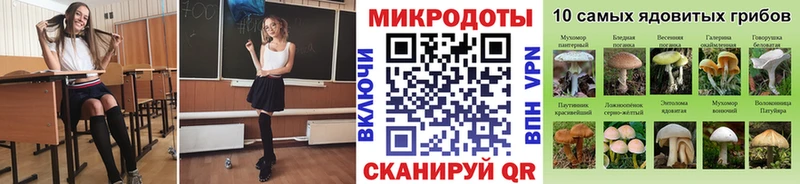 ОМГ ОМГ маркетплейс  Советск  Псилоцибиновые грибы Cubensis  дарнет шоп 