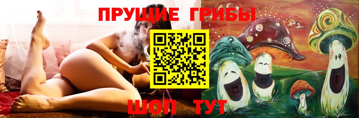 Советск  Галлюциногенные грибы Psilocybine cubensis  Вход с VPN 